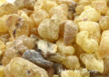 Somalia Frankincense - Boswellia Carteri