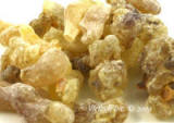 Somalia Frankincense - Boswellia Sacra